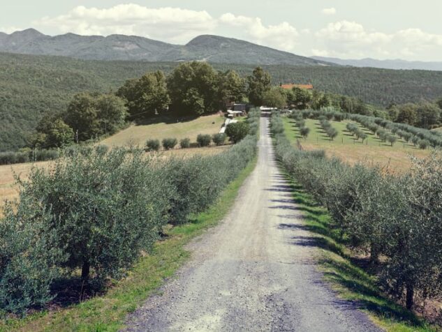 Home, Civita